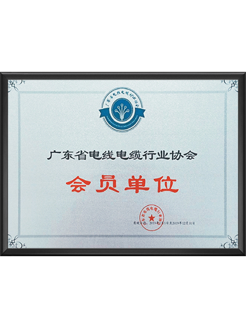 广东省电线电缆行业协...
